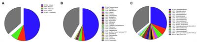 Comparative Genomics of Thaumarchaeota From Deep-Sea Sponges Reveal Their Niche Adaptation